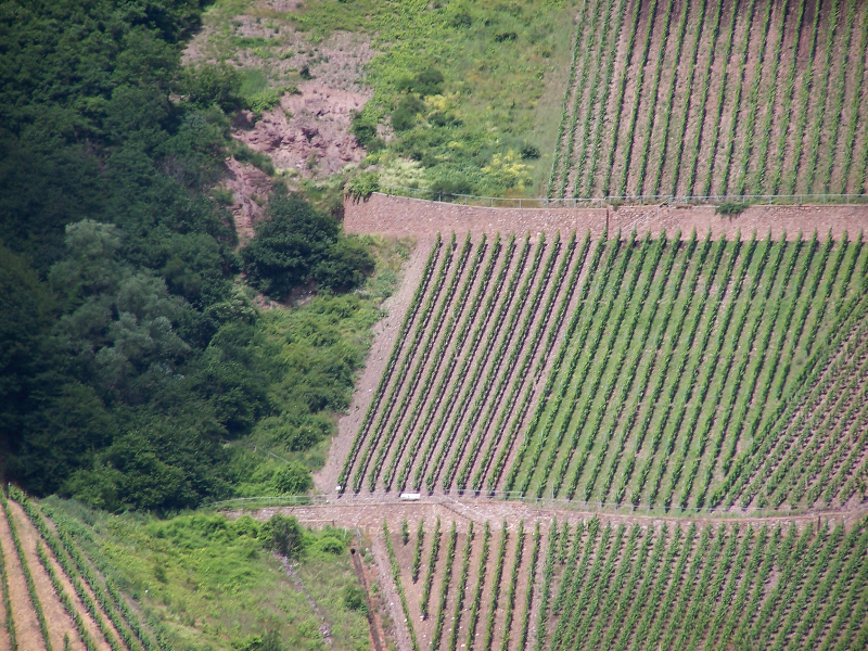 erdener-berg-von-weit-weg